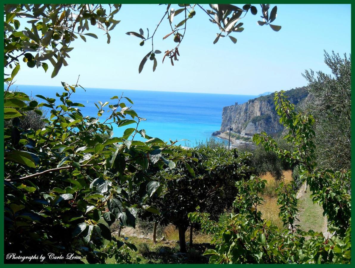 Villa Pierina Finale Ligure Eksteriør bilde