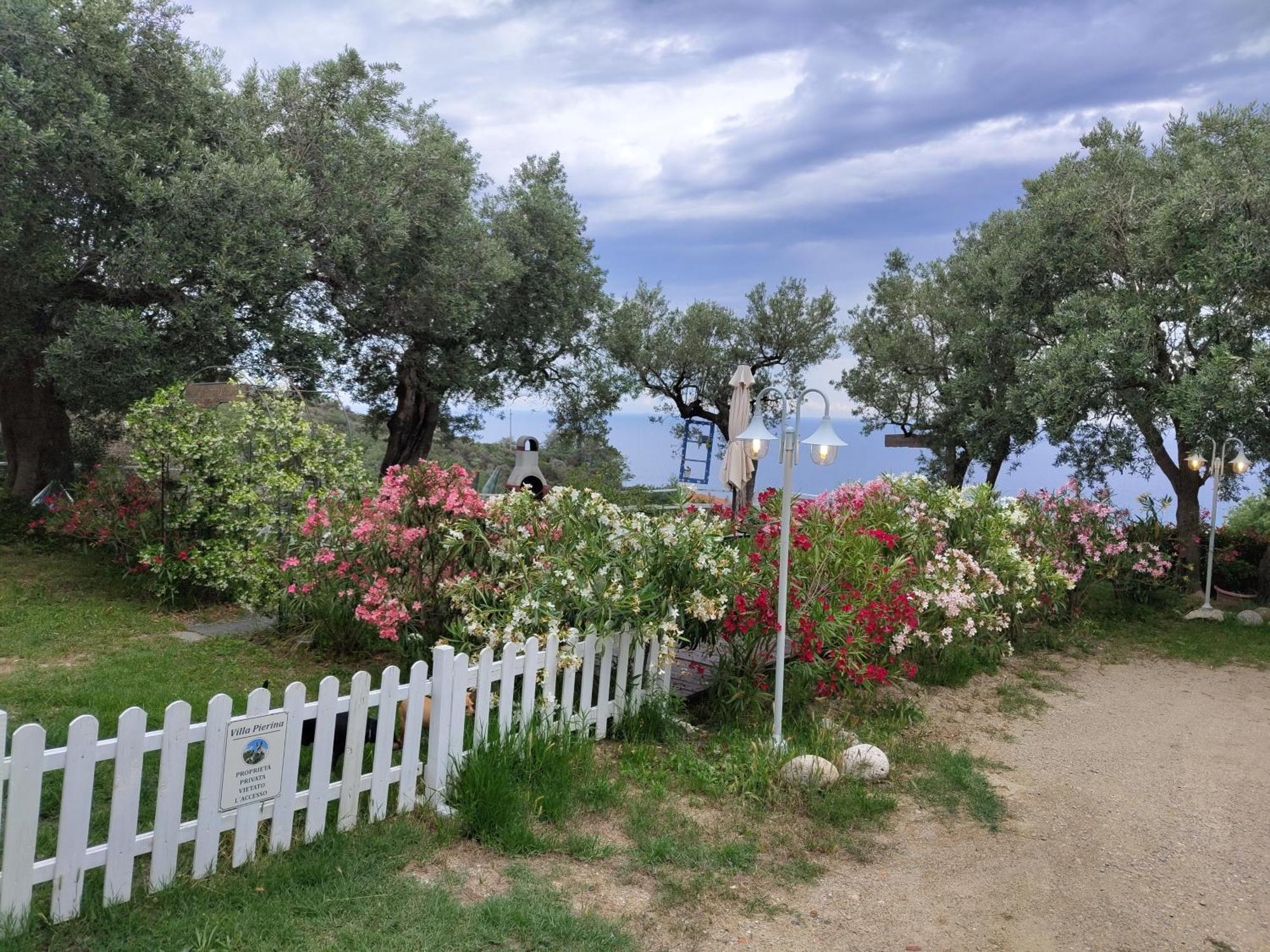 Villa Pierina Finale Ligure Eksteriør bilde